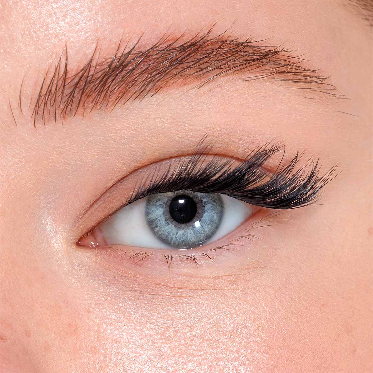 Extension Ciglia Cat Eye & Wild Feline Starter Kit