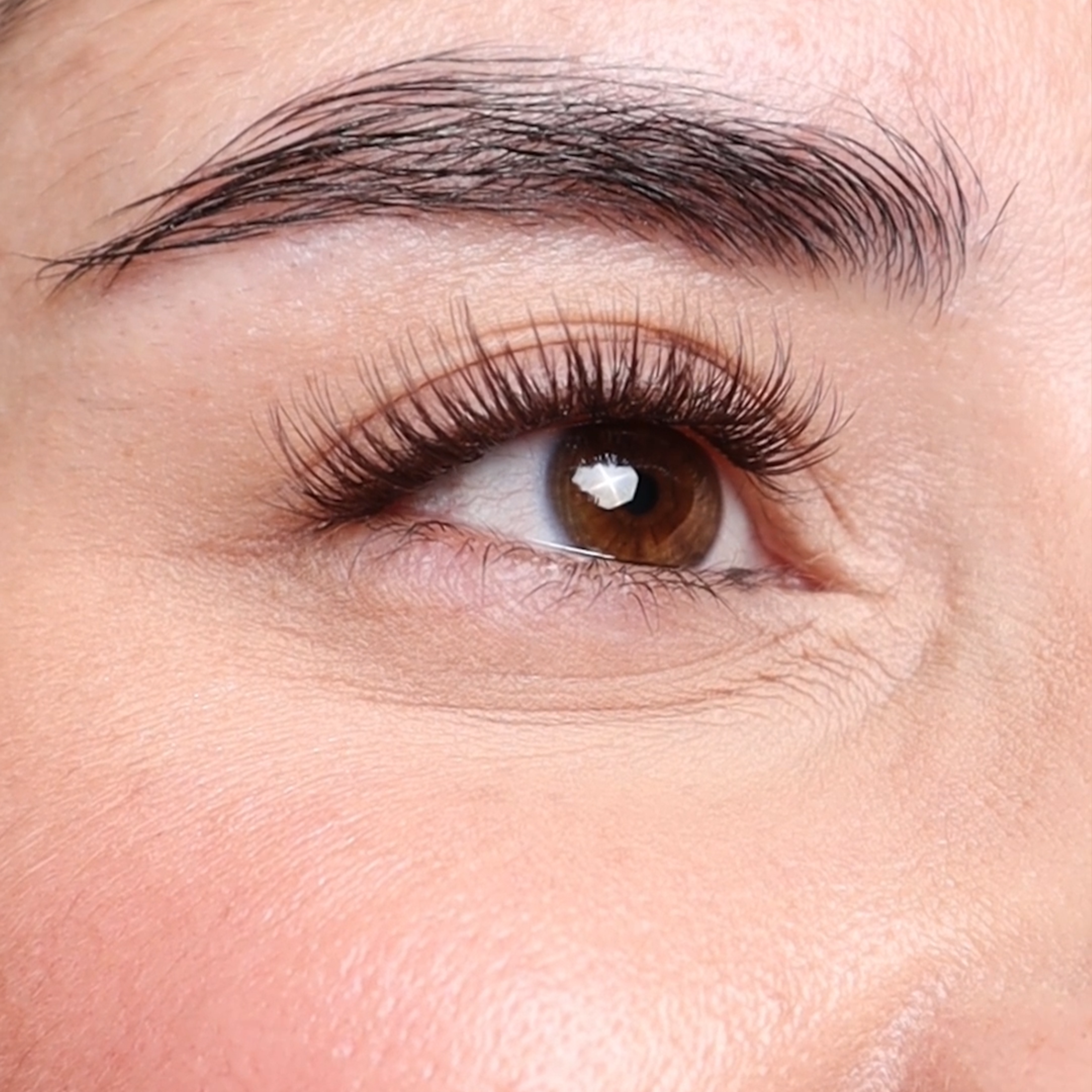 Total Chocolate Classy Brown Kit Press&GO!