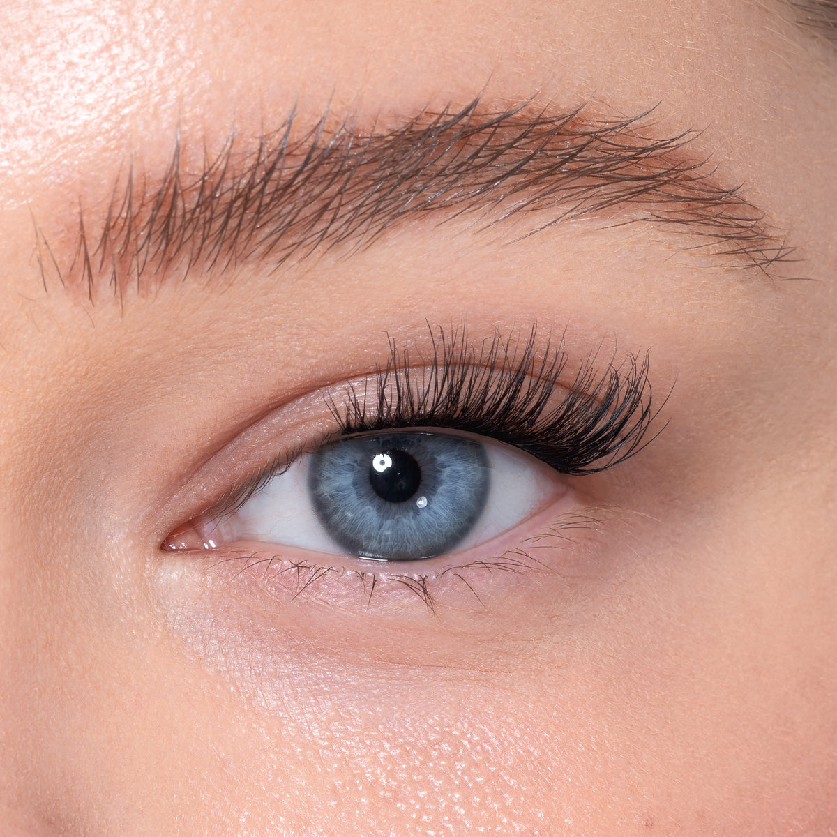 Half Lashes - 8am Morning Rush