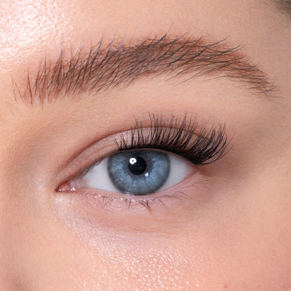 Half Lashes - 8am Morning Rush