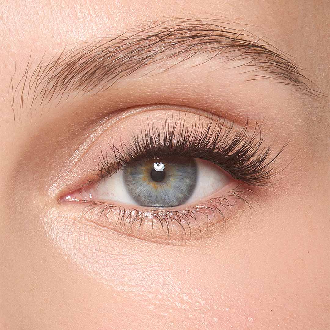 Half Lashes - 8am Morning Rush