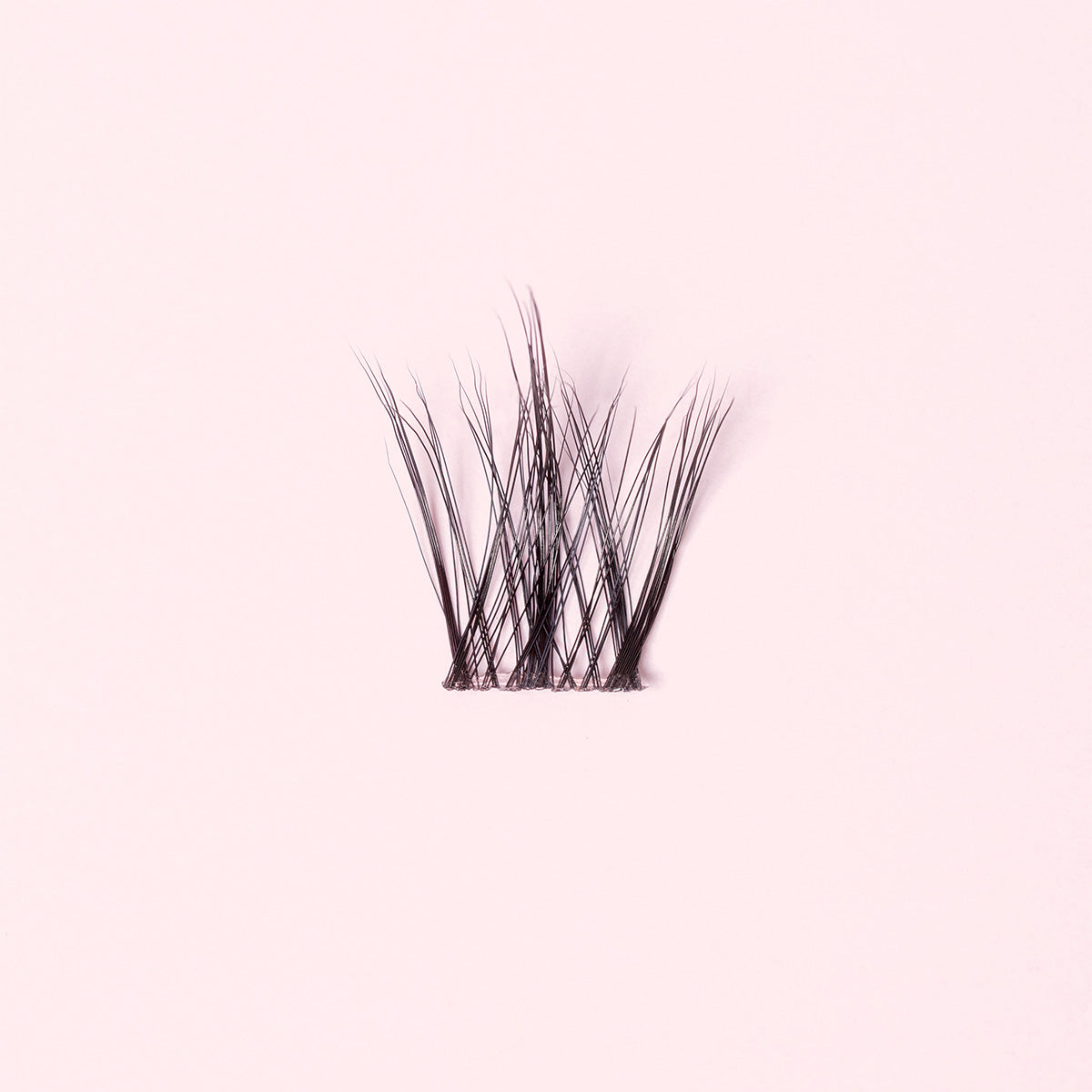 Wispy Wet - Pestañas