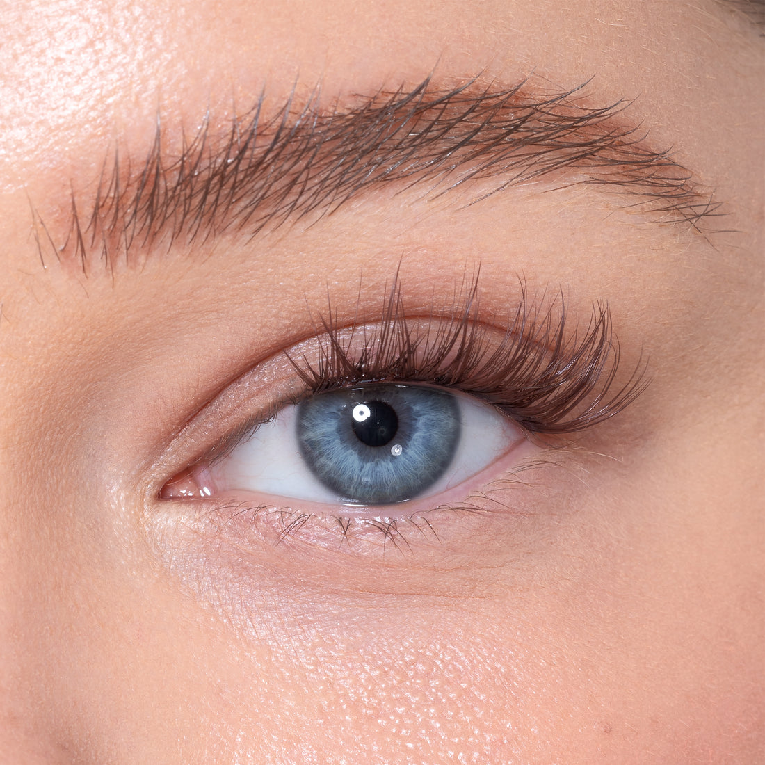 Starter Kit Half Lashes - Coffee First