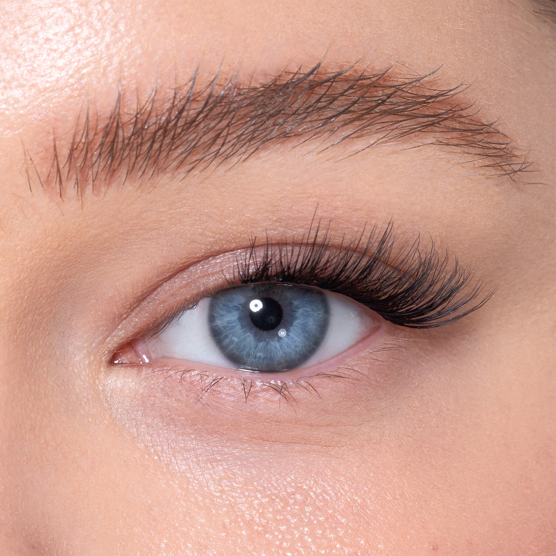 Starter Kit Half Lashes - Miss Me Later
